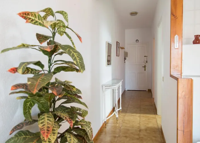 拉斯维塔斯海滩公寓 美洲海滩